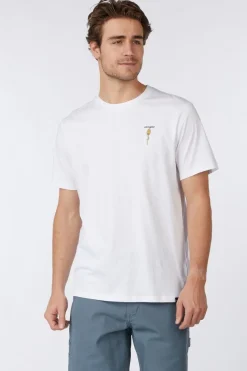 Antwrp T-Shirt Bts 430 As
