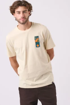 Antwrp T-Shirt Bts420-L001S