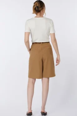 AWARE Short Passi