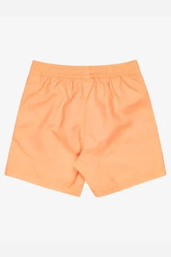 Billabong Zwemshort All Day