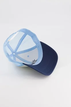 Chamaye Pet Cas-Trucker-High Five