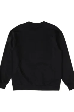 Colourwear Trui M Core Crew