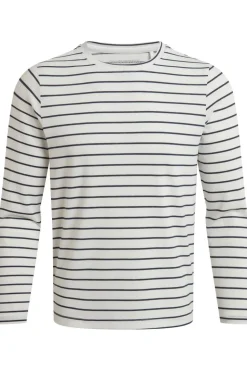 Craghoppers T-Shirt Nosilife Akona Longsleeve