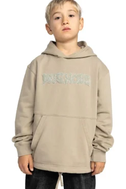 DC Shoes Trui Mortar Ph Boy