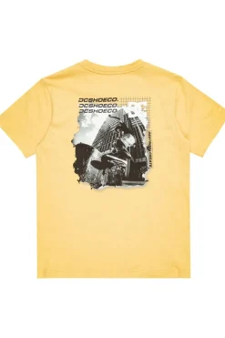 DC Shoes T-Shirt Whereabouts Ss Boy