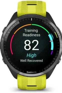 Garmin Forerunner 965 Emea