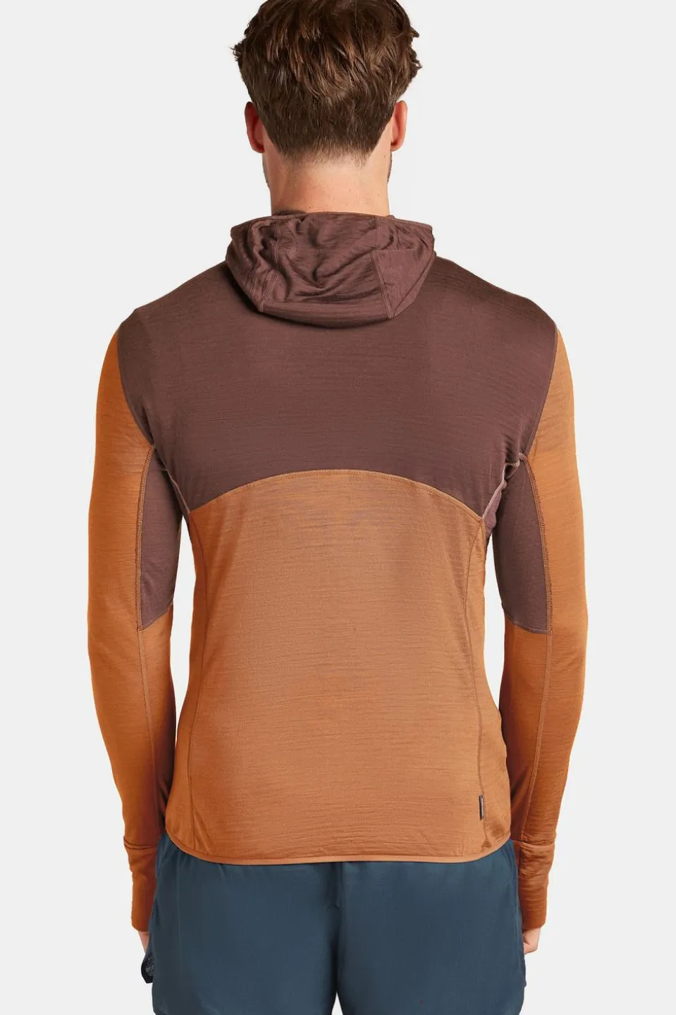 icebreaker Fleece M Mer 200 Realfleece Descender Ls Zip H