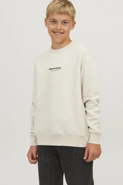 Jack & Jones Trui Vesterbro