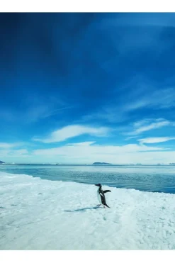 Kosmos Boek Wereldplekken - 50 Ongerepte, Ruige En Schilderachtige Plekken Ng