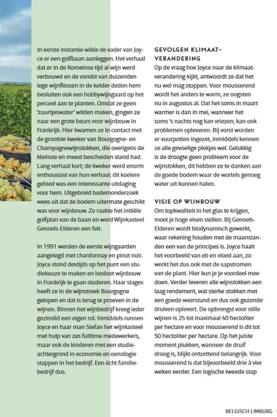Kosmos Wijnroutes Nederland & België
