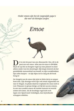 Lannoo Boek Het Dikke Boek Van Alle Bijzondere Vogels