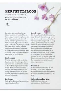 Lannoo Boek Meer Wildplukken - Eetbare Geneeskrachtige Planten & Giftige Lookalikes