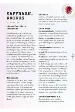 Lannoo Boek Meer Wildplukken - Eetbare Geneeskrachtige Planten & Giftige Lookalikes