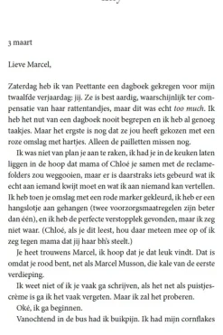 Lannoo Boek Onder De Sterren - Roadtrip Roman