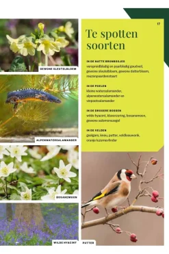 Lannoo Boek Vlaanderen Wandelboek 20 Wandelingen Door Natuurgebieden
