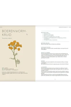 Lannoo Het wildplukboek