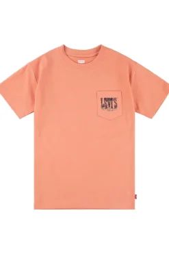 Levi's Kids T-Shirt Canyon Landscape