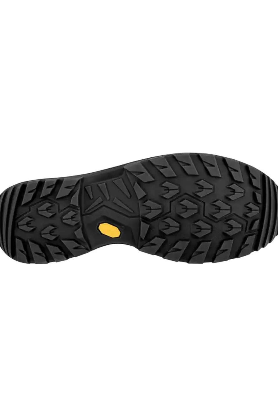 LOWA Wandelschoenen Renegade Evo Gore-tex