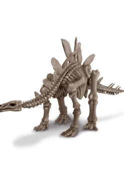 4M Speelgoed Graaf Je Dinosaurus Op - Stegosaurus