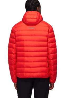 Mammut Donsjas Waymarker In Hooded Jacket Men