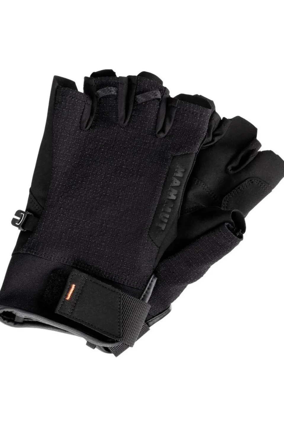 Mammut Handschoen Pordoi