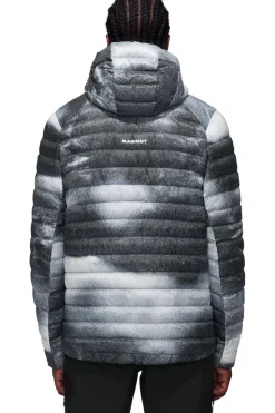 Mammut Jas Albula In Hooded Jacket Men Grain