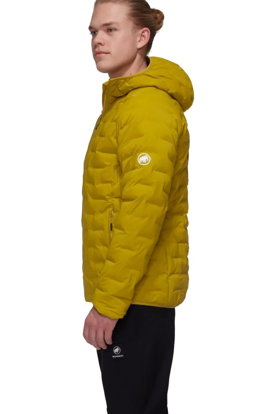Mammut Jas Sender Ins Hooded