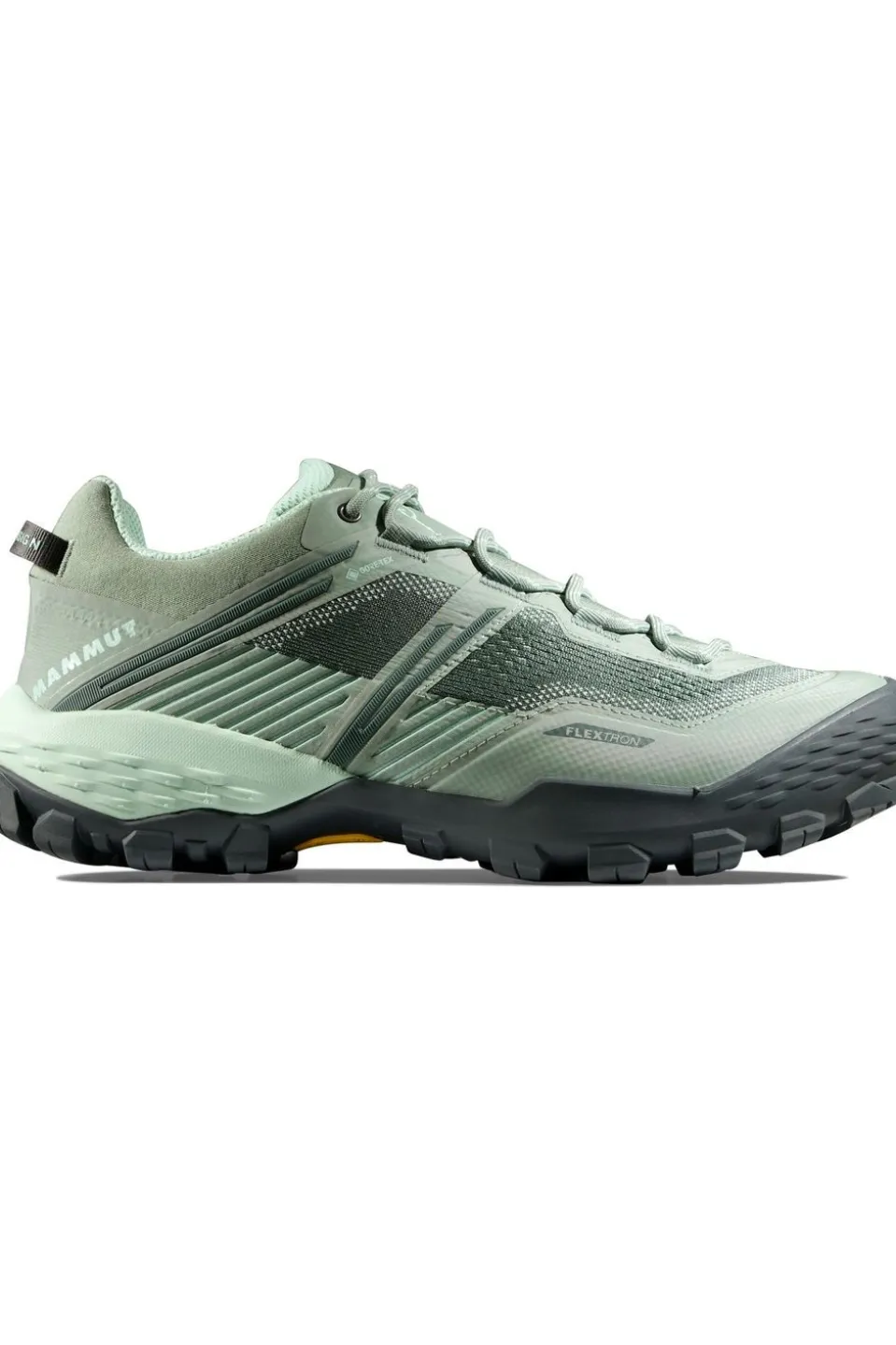 Mammut Wandelschoenen Ducan Ii Low Gtx Women