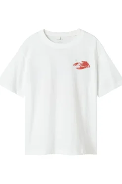 Name It T-Shirt Nkmfonnot Box