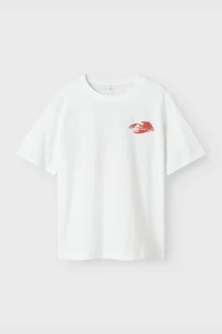 Name It T-Shirt Nkmfonnot Box