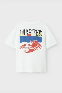Name It T-Shirt Nkmfonnot Box