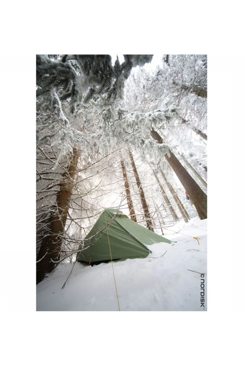 Nordisk Tent Svalbard 1 SI