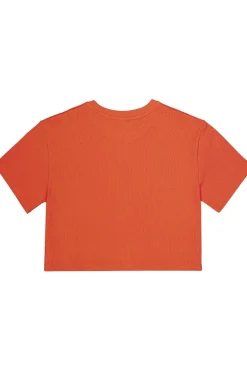 Picture Organic Clothing T-Shirt Fraggi Tee
