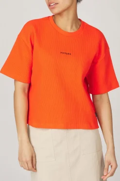 Picture Organic Clothing T-Shirt Fraggi Tee