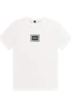 Picture Organic Clothing T-Shirt Dalap Tee