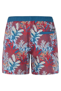 Protest Zwemshort Eton