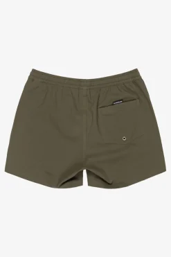 Quiksilver Zwemshort Everyday Flex Volley 15