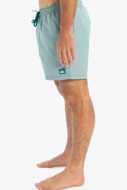 Quiksilver Zwemshort Everyday Deluxe Volley 15