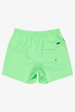 Quiksilver Zwemshort Surfsilk Solid Volley 16In