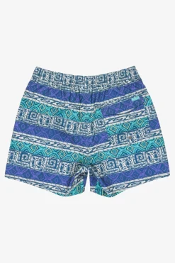 Quiksilver Zwemshort Surfsilk Straight Volley 16In
