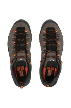 Salewa Schoen Alp Trainer 2 Gore-Tex