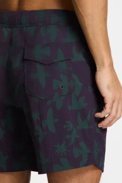 Shiwi Zwemshort Nick Quick Dry 6 Inch Birds