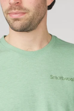 Smartwool T-Shirt Nature Vibes Ss
