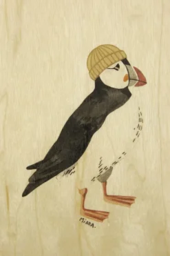 Woodhi Wenskaart Postcard Scoter